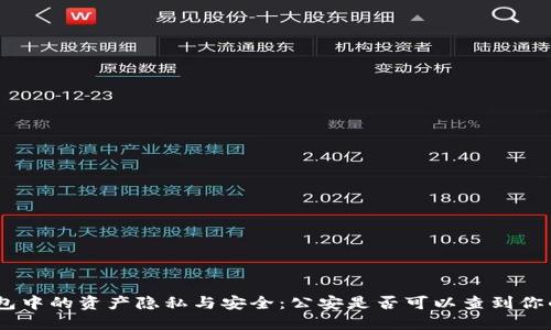 imToken钱包中的资产隐私与安全：公安是否可以查到你的交易记录？