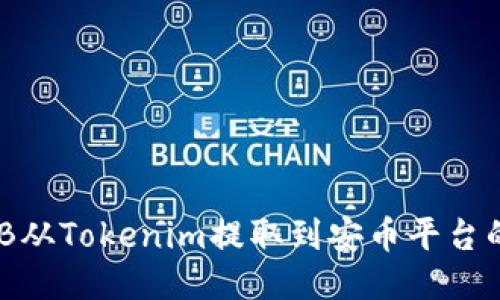 如何将BNB从Tokenim提取到安币平台的详细指南