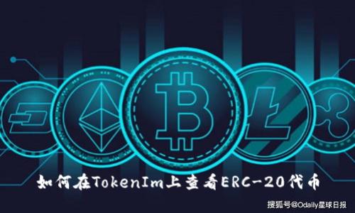 如何在TokenIm上查看ERC-20代币