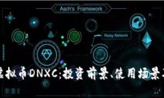 深入探索虚拟币DNXC：投资前景、使用场景及未来