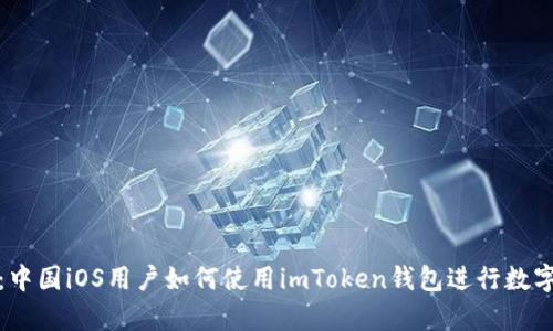 全面解析：中国iOS用户如何使用imToken钱包进行数字资产管理