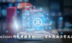 如何在imToken钱包中提币到IOST：详细指南与常见问