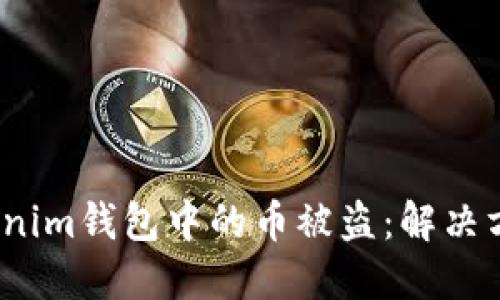  如何防止Tokenim钱包中的币被盗：解决方案与应对措施