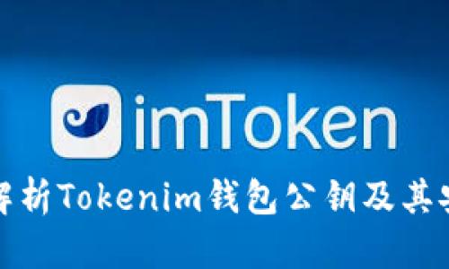全面解析Tokenim钱包公钥及其安全性