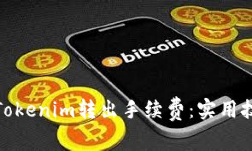 如何降低Tokenim转出手续费：实用技巧与建议