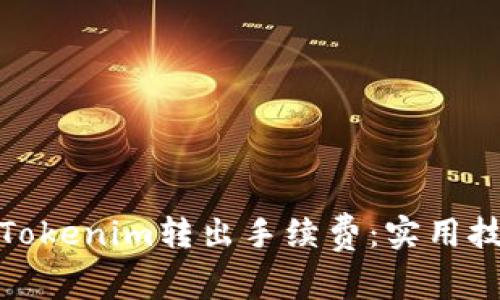 如何降低Tokenim转出手续费：实用技巧与建议