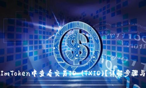 : 如何在ImToken中查看交易ID (TXID)？详解步骤与注意事项