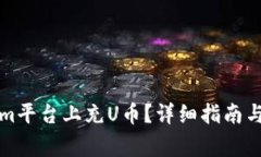 如何在Tokenim平台上充U币？详细指南与常见问题解