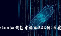 如何在Tokenim钱包中添加BSC链（币安智能链）