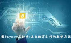 了解Paynow虚拟币：未来数字支付的趋势与优势