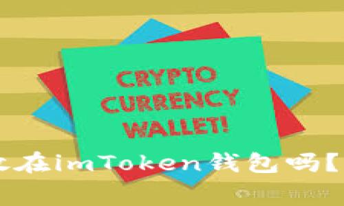 狗币（Dogecoin）可以存放在imToken钱包吗？详细分析与常见问题解答